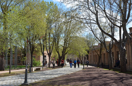 Paseo Campus de Toledo