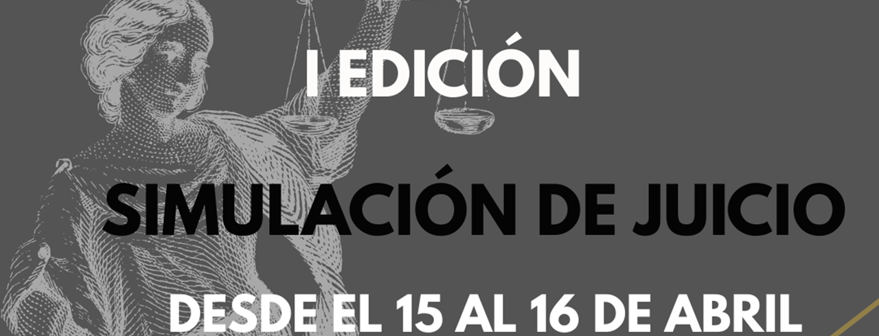 imagen_simulacion - copia