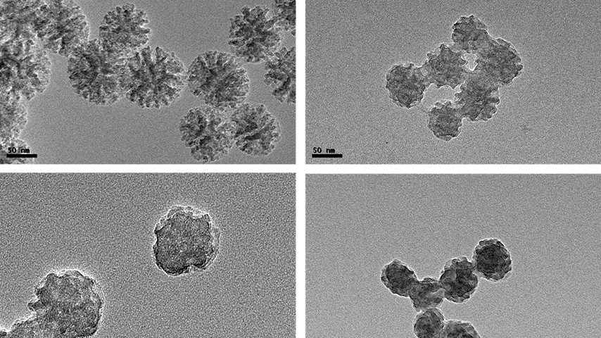 Investigación Enrique NIza, Nanopartículas inteligentes