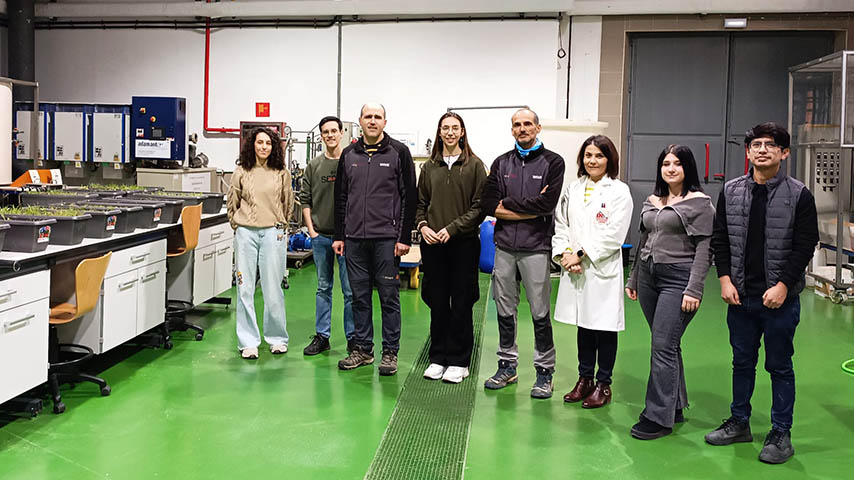 Investigación para la eliminación de pesticidas en el suelo del olivar liderada por la UCLM, en el marco del proyecto europeo Soil O-live.