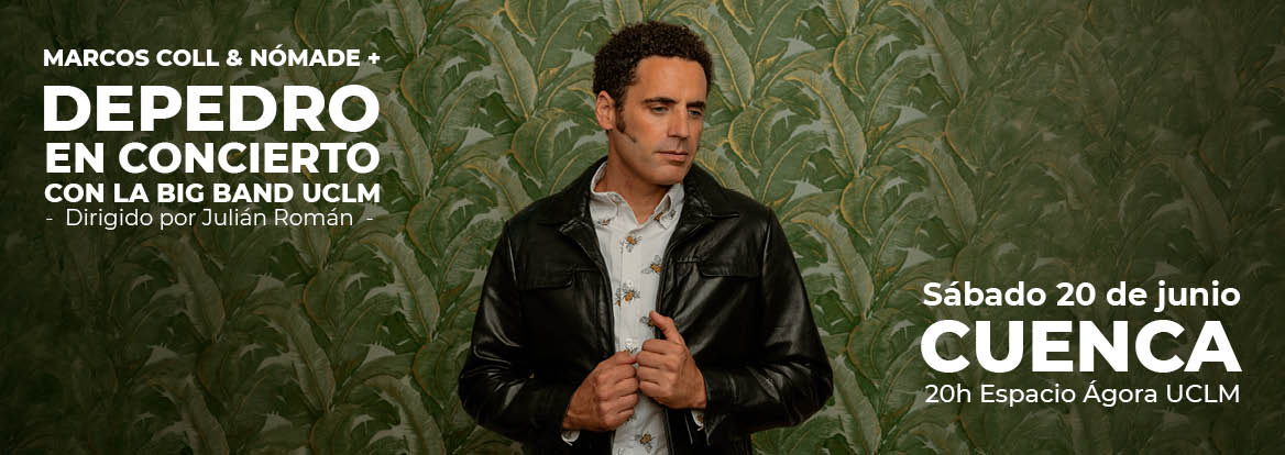 Cartel del concierto