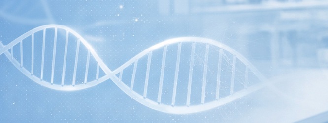 Seminarios investigación